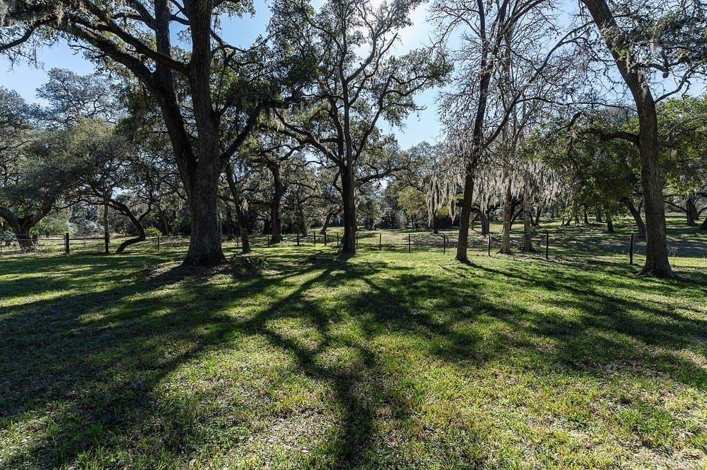 115.09 acres in Lavaca County - photo 23