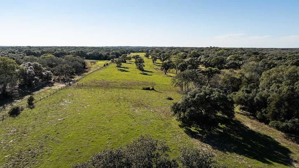 115.09 acres in Lavaca County - photo 30