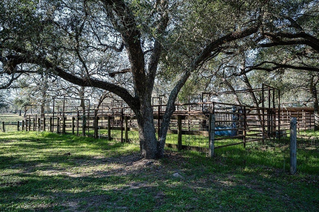115.09 acres in Lavaca County - photo 27