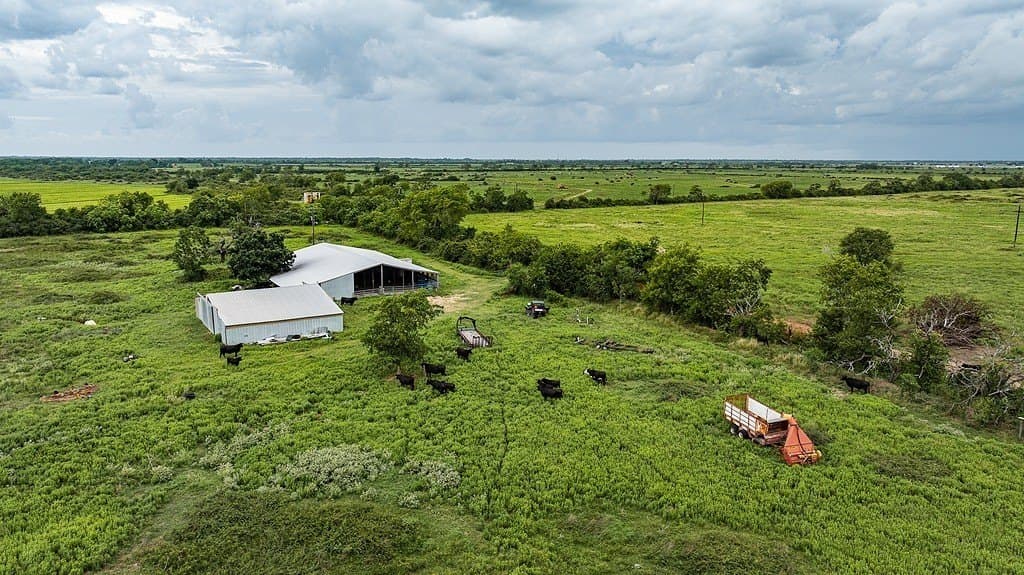 658.25 acres in Colorado County - photo 4