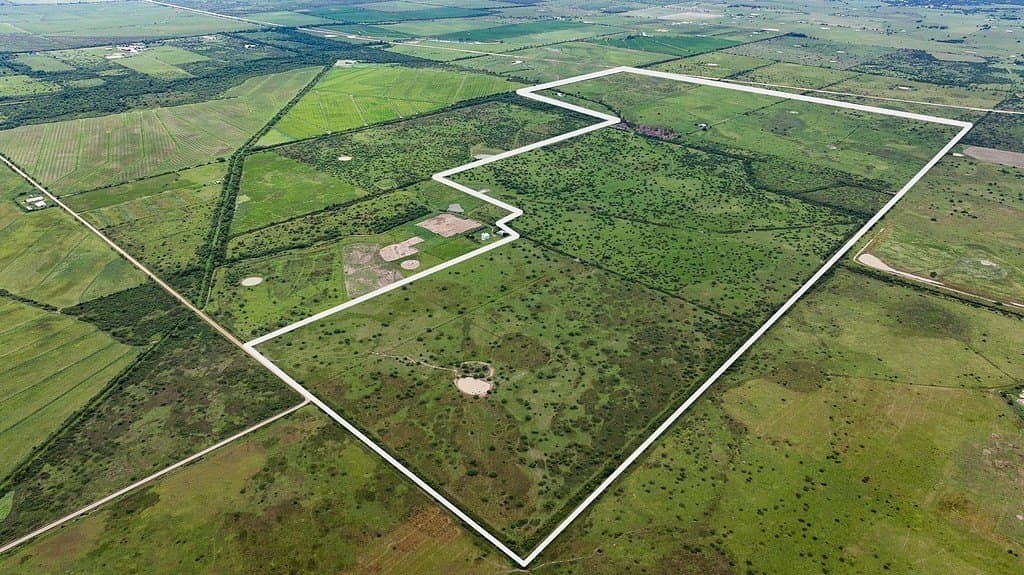 658.25 acres in Colorado County - photo 2