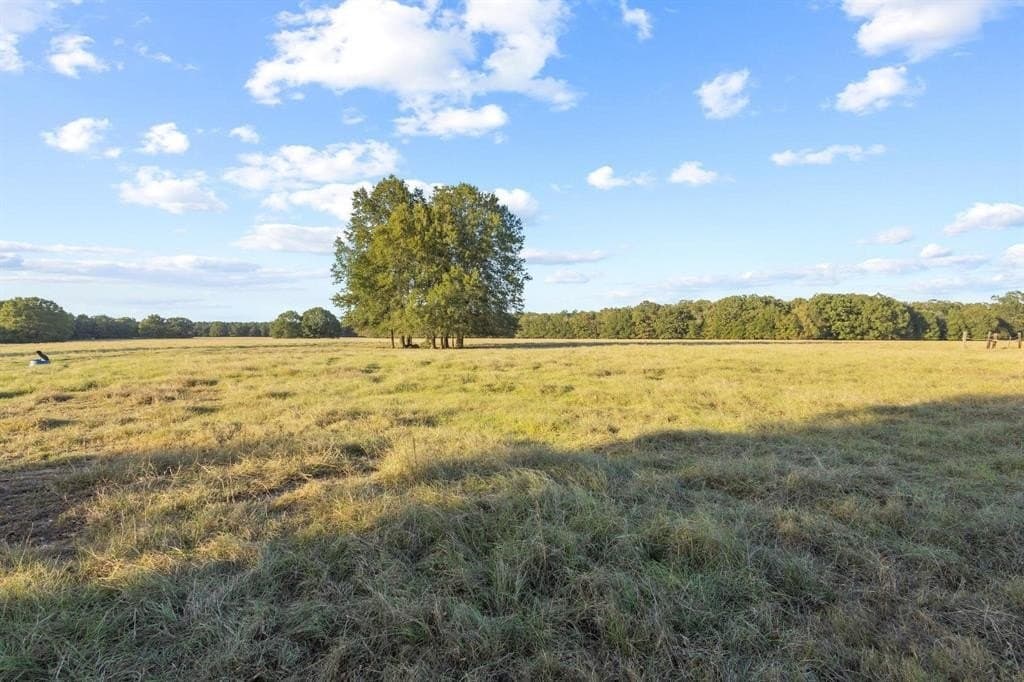 192.27 acres in Red River County - photo 22