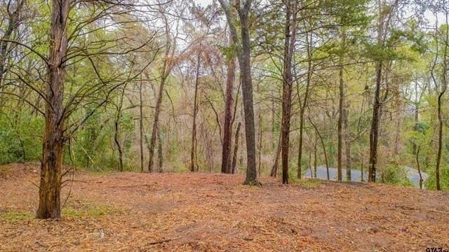 0.41 acres in Smith County - photo 8