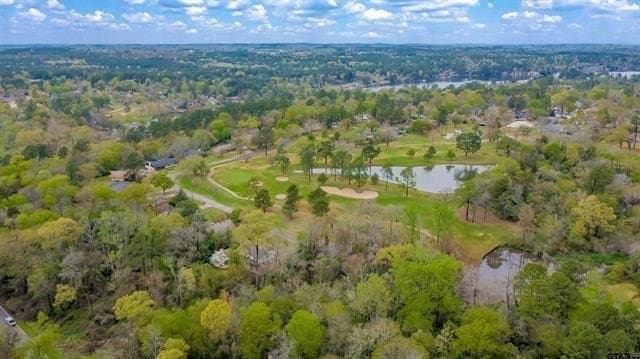 0.41 acres in Smith County - photo 22