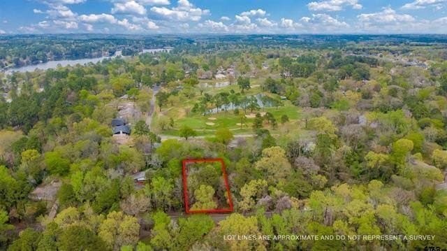 0.41 acres in Smith County - photo 16