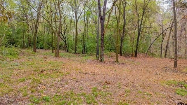 0.41 acres in Smith County - photo 10