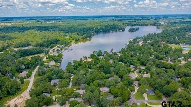 0.41 acres in Smith County - photo 26