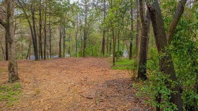 0.41 acres in Smith County - photo 11