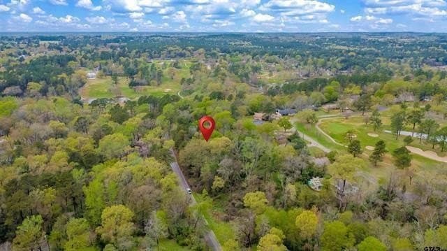 0.41 acres in Smith County - photo 19