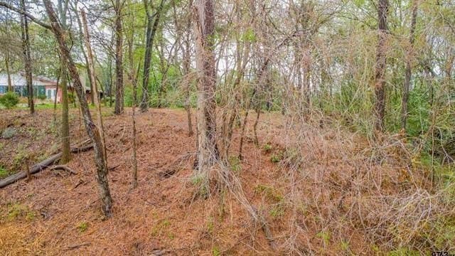 0.41 acres in Smith County - photo 3