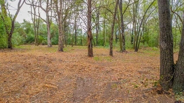 0.41 acres in Smith County - photo 4