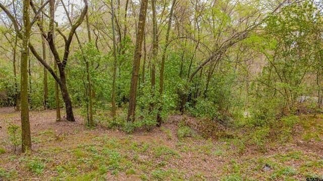 0.41 acres in Smith County - photo 12