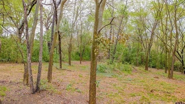 0.41 acres in Smith County - photo 9