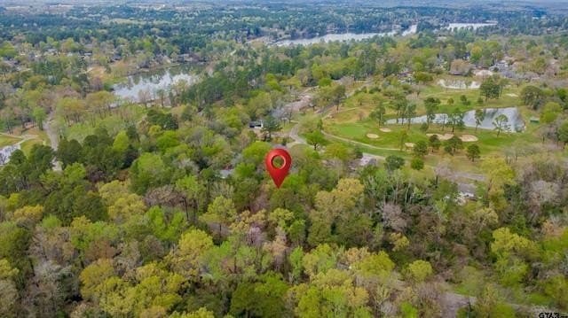 0.41 acres in Smith County - photo 17