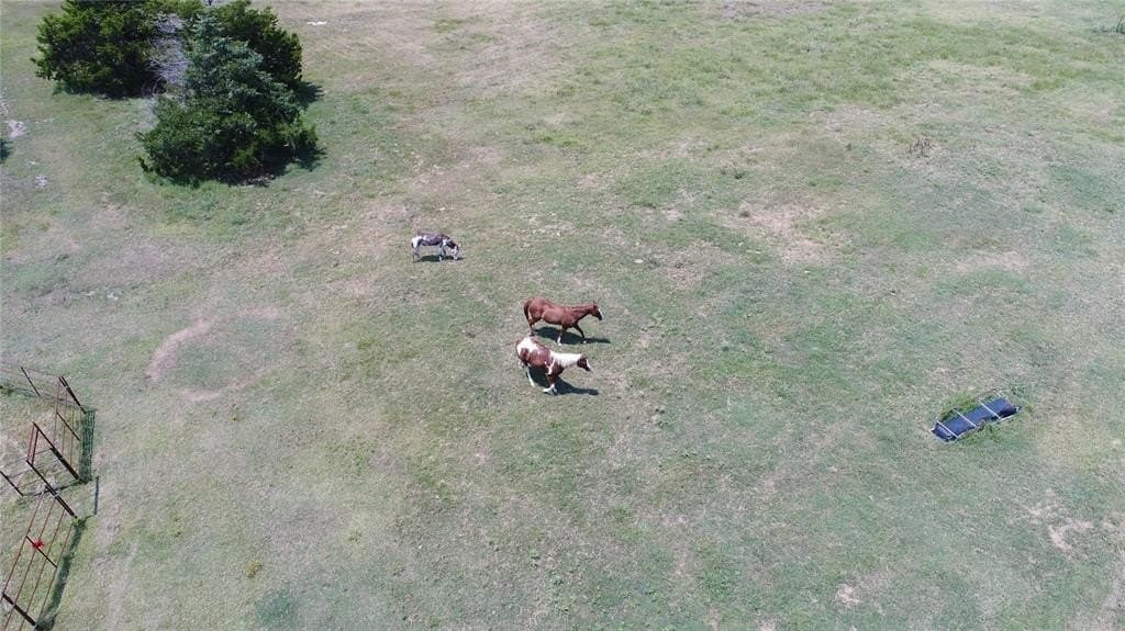 23.8 acres in Navarro County - photo 14