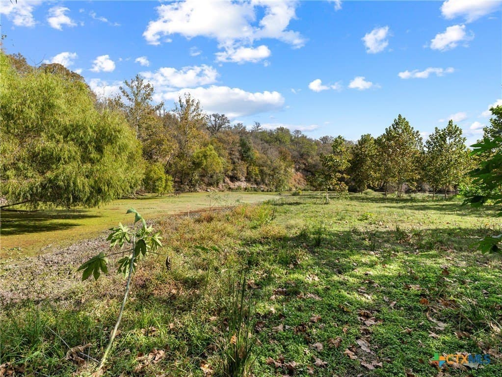 12.44 acres in Guadalupe County - photo 14