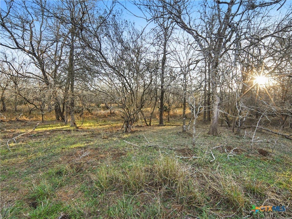 12.44 acres in Guadalupe County - photo 8