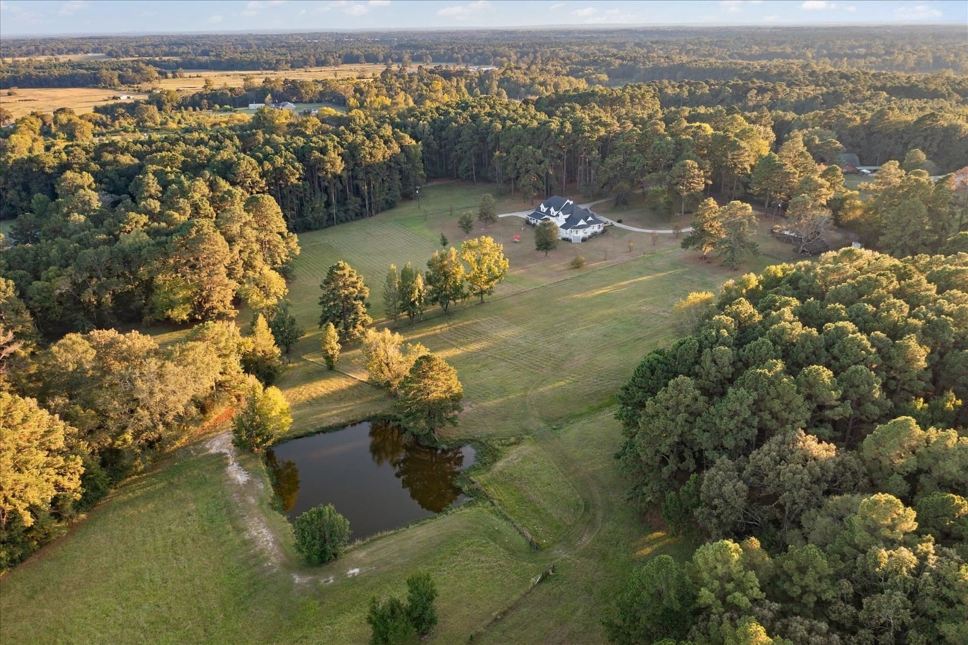 50 acres in Panola County - photo 4