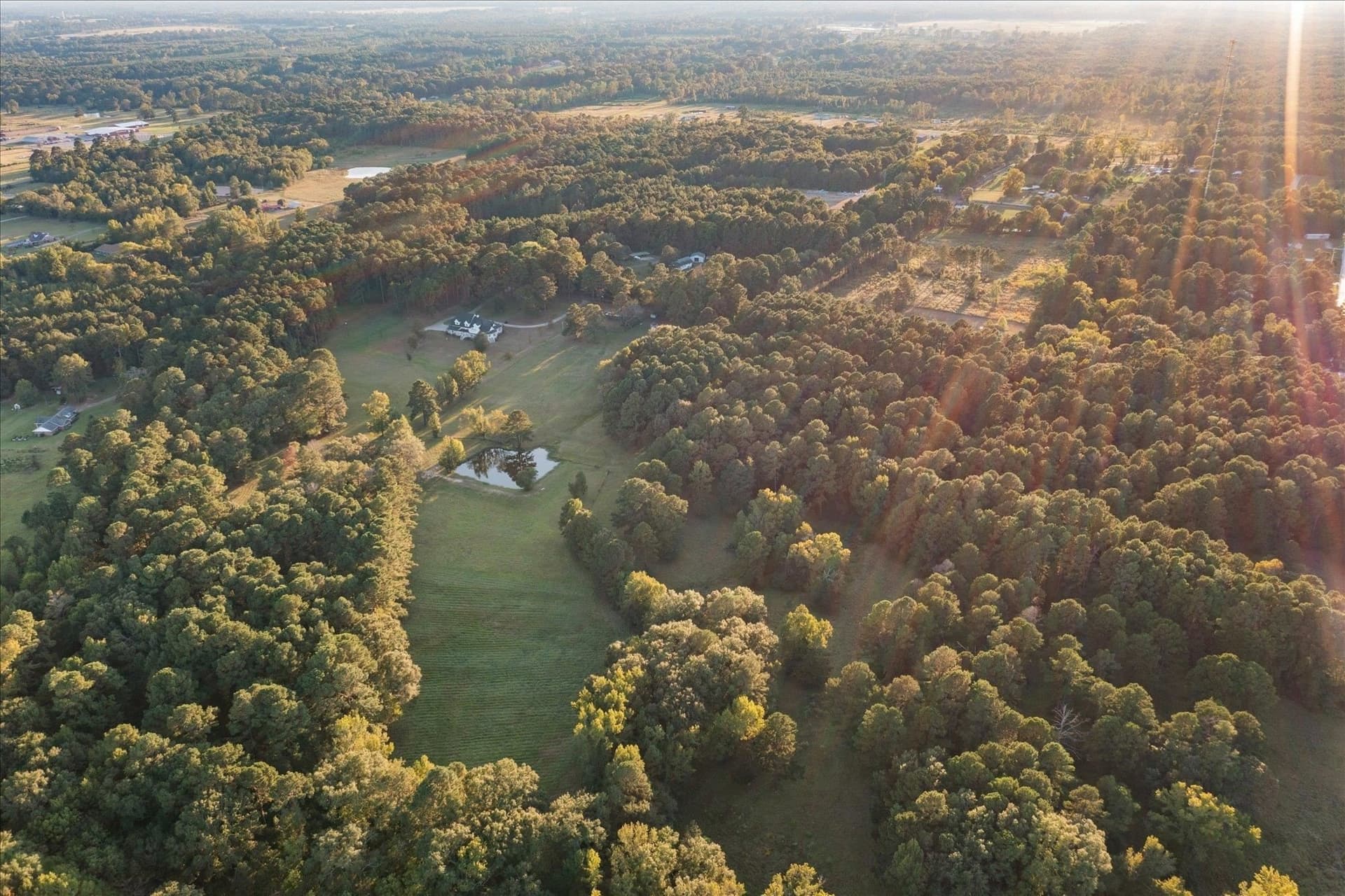 50 acres in Panola County - photo 5