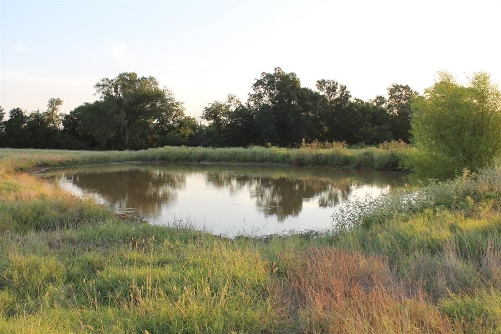 227 acres in Hopkins County - photo 15