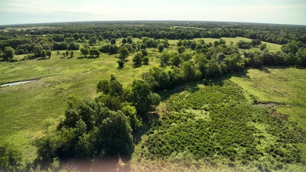 227 acres in Hopkins County - photo 11