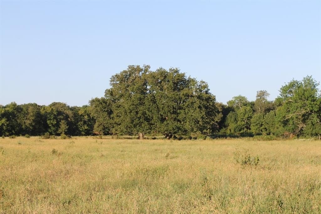 227 acres in Hopkins County - photo 17