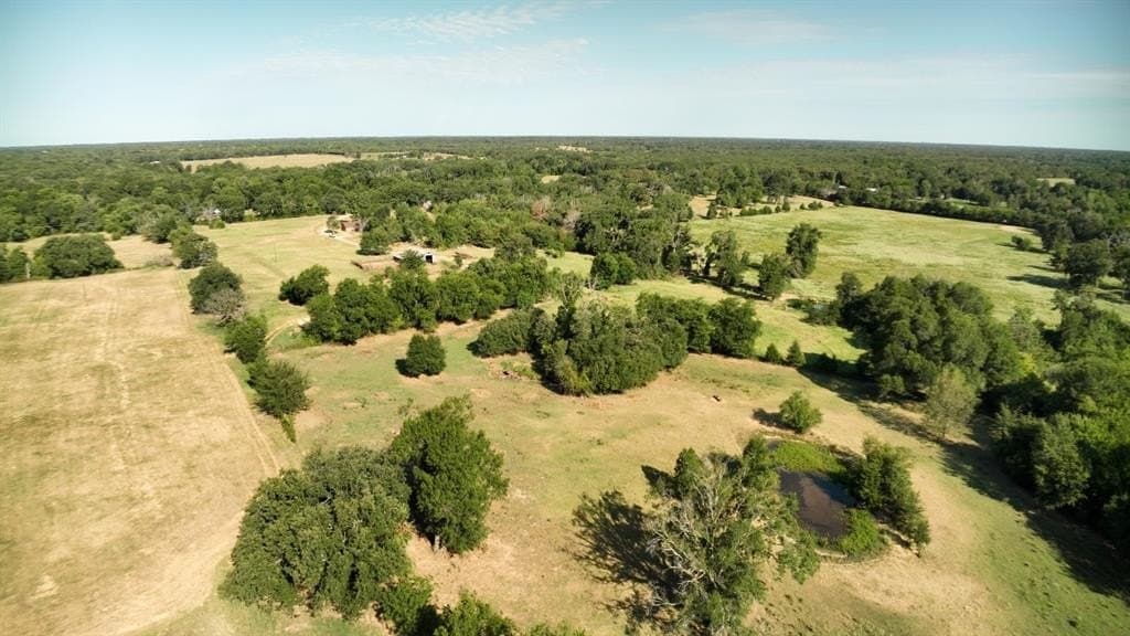 227 acres in Hopkins County - photo 10