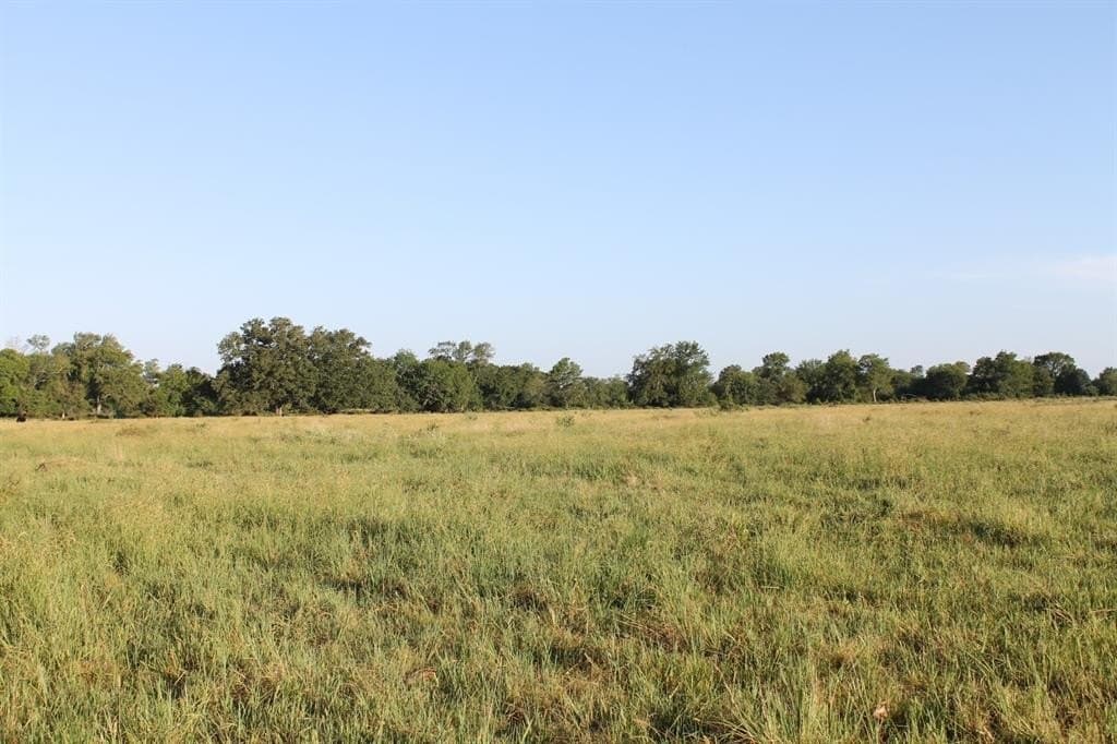 227 acres in Hopkins County - photo 20