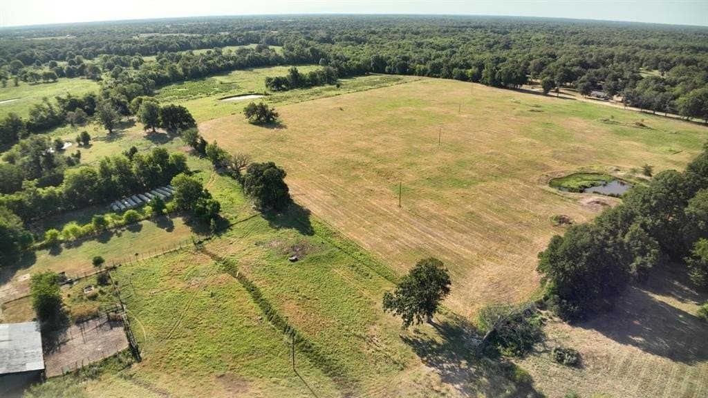 227 acres in Hopkins County - photo 5