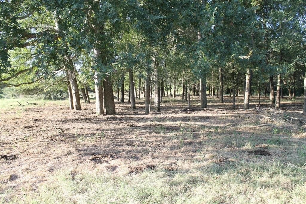227 acres in Hopkins County - photo 22
