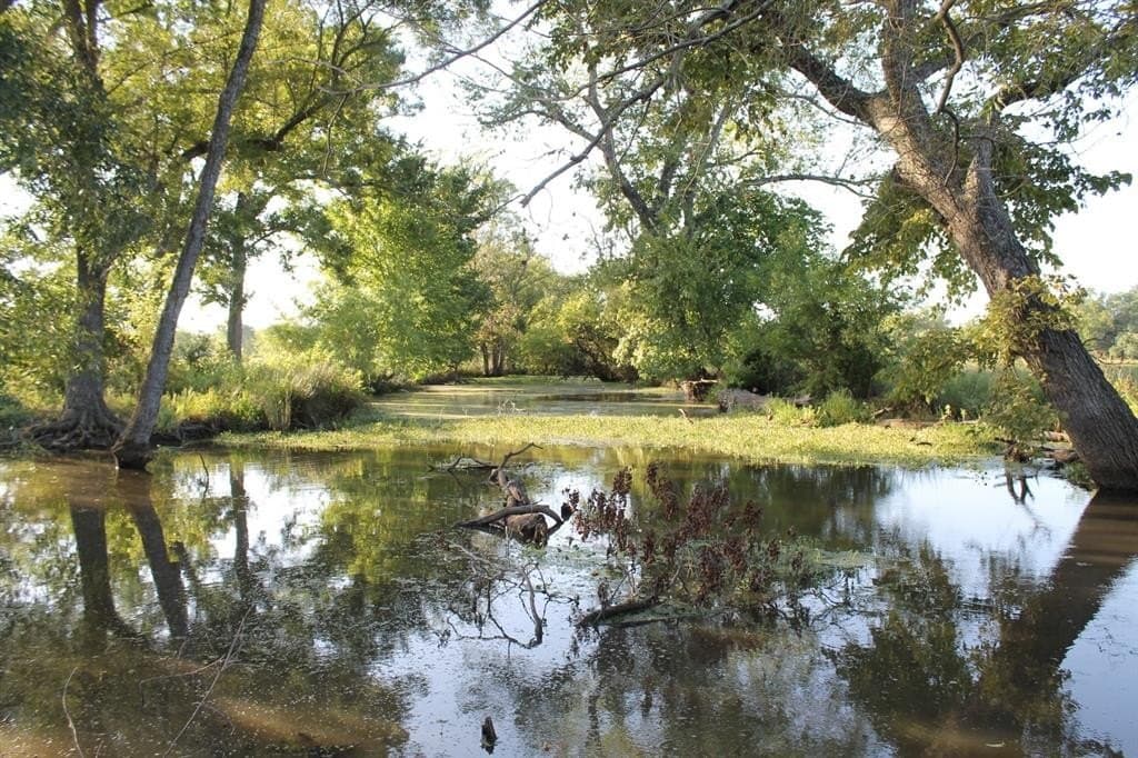 227 acres in Hopkins County - photo 24