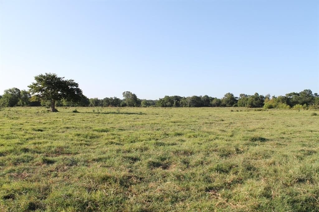 227 acres in Hopkins County - photo 25