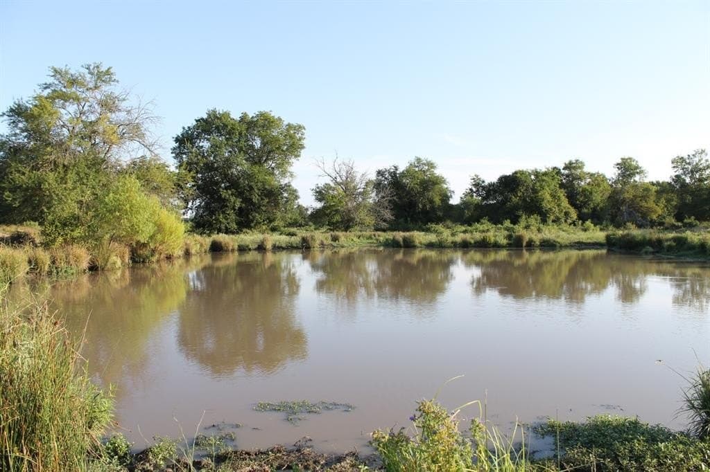 227 acres in Hopkins County - photo 21