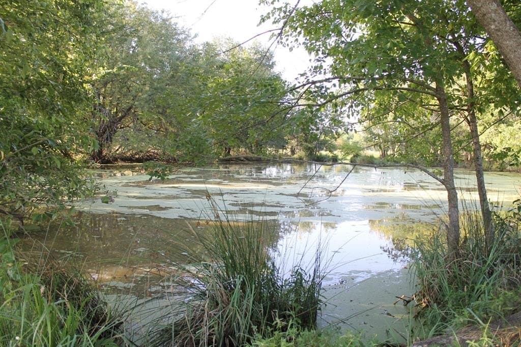 227 acres in Hopkins County - photo 26