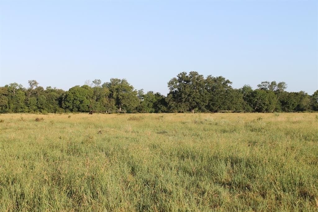 227 acres in Hopkins County - photo 18