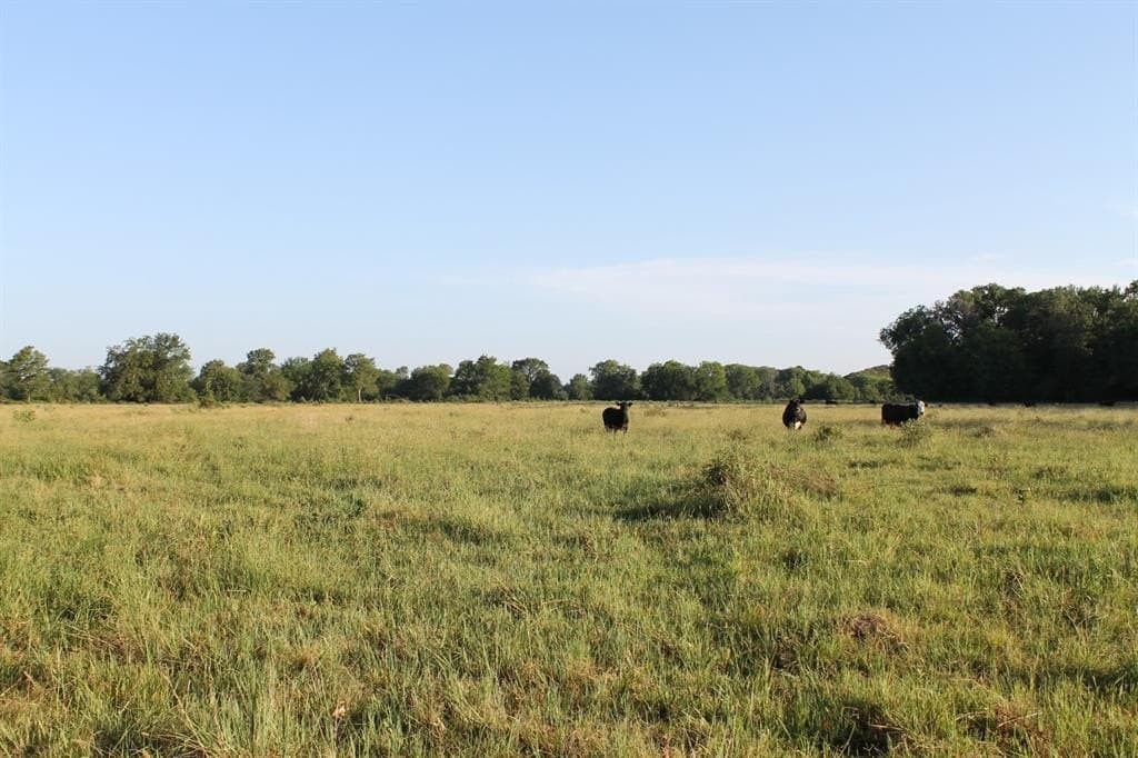 227 acres in Hopkins County - photo 19