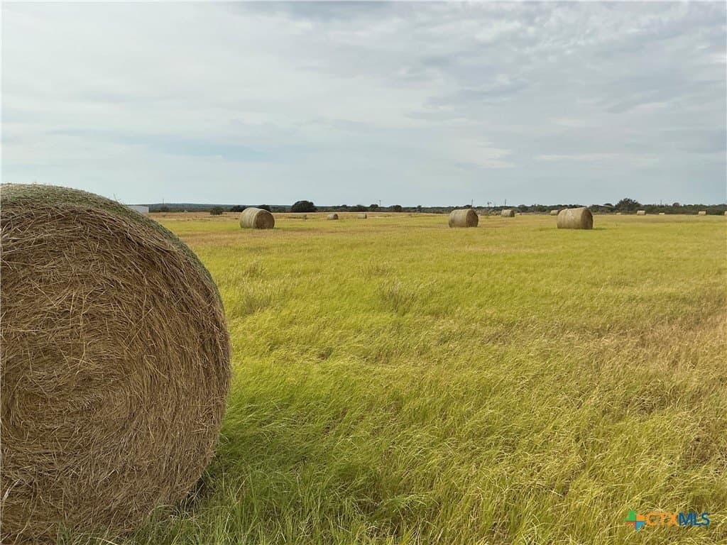 61.64 acres in San Saba County - photo 14