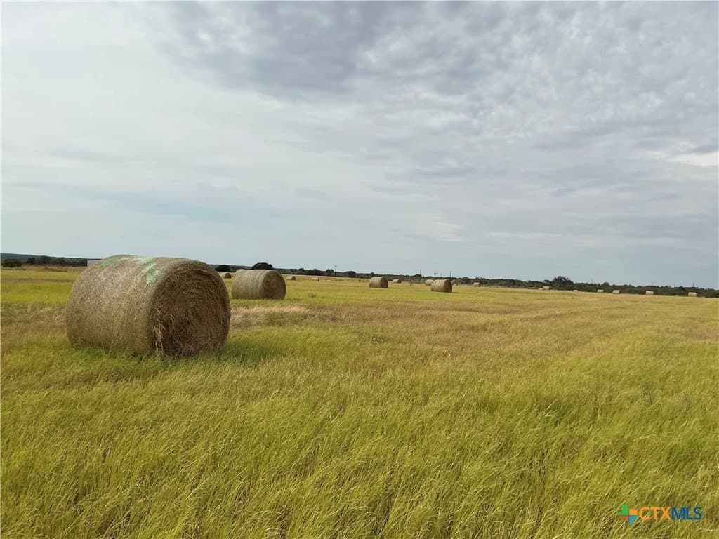 61.64 acres in San Saba County - photo 13