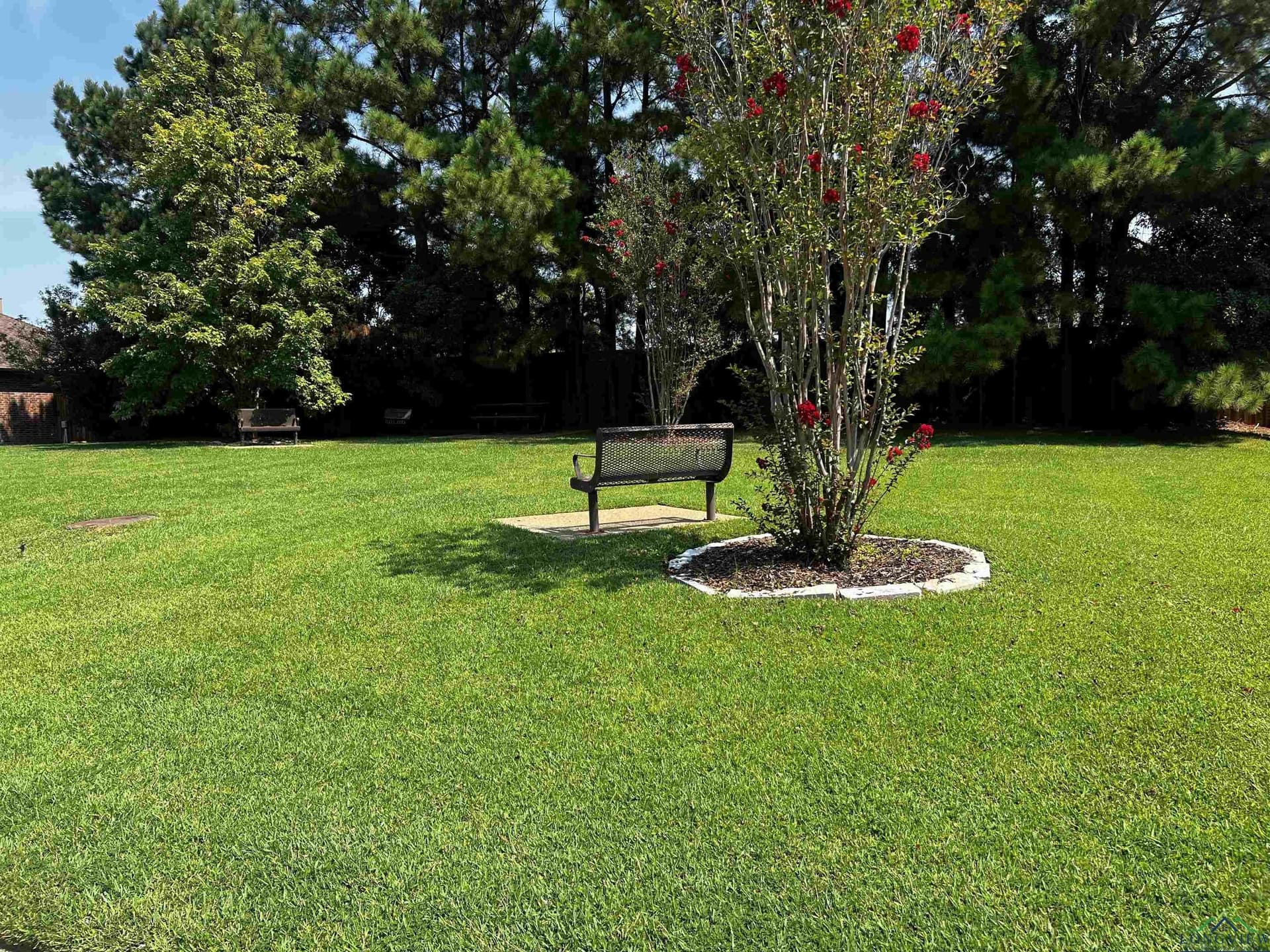 0.17 acres in Gregg County - photo 12