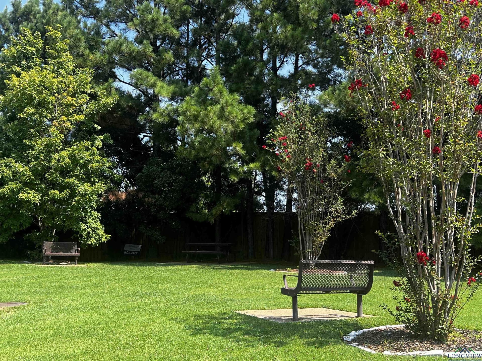 0.17 acres in Gregg County - photo 8
