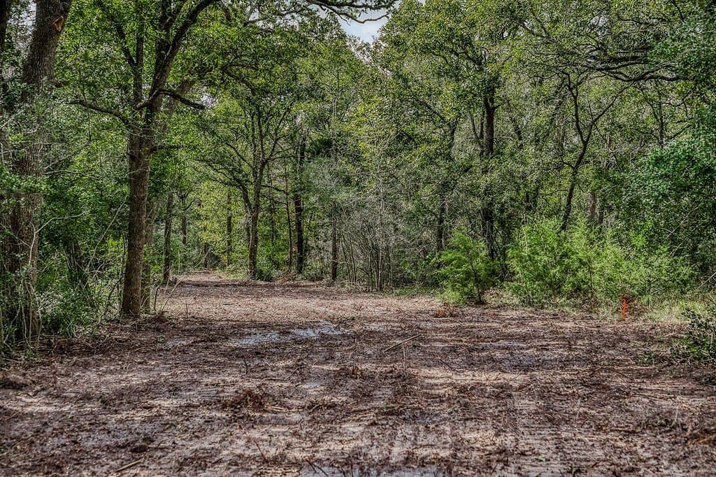 3 acres in Washington County - photo 14