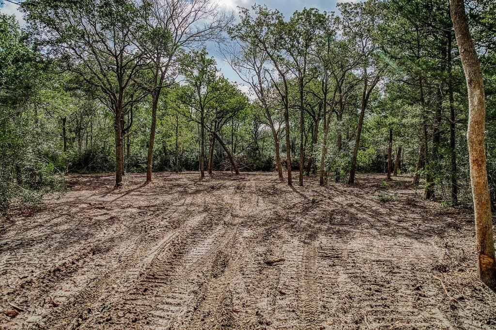 3 acres in Washington County - photo 12