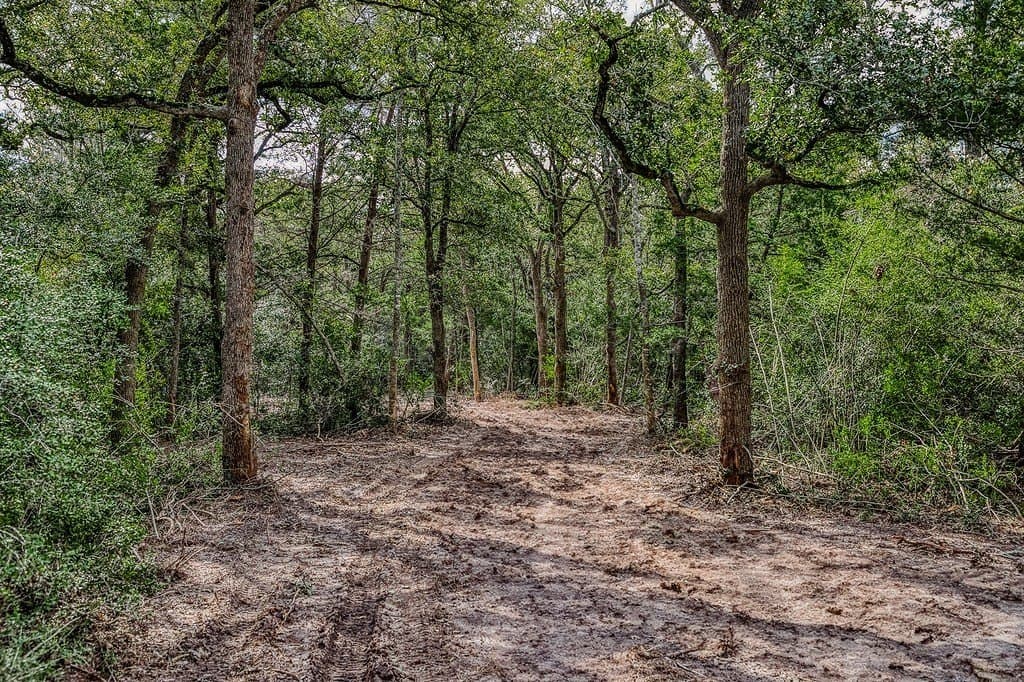 3 acres in Washington County - photo 13