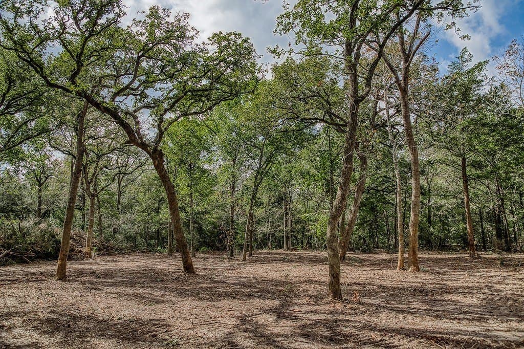 3 acres in Washington County - photo 10