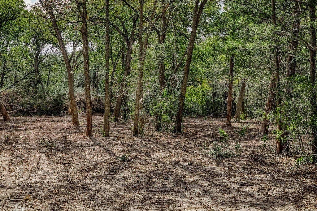 3 acres in Washington County - photo 11