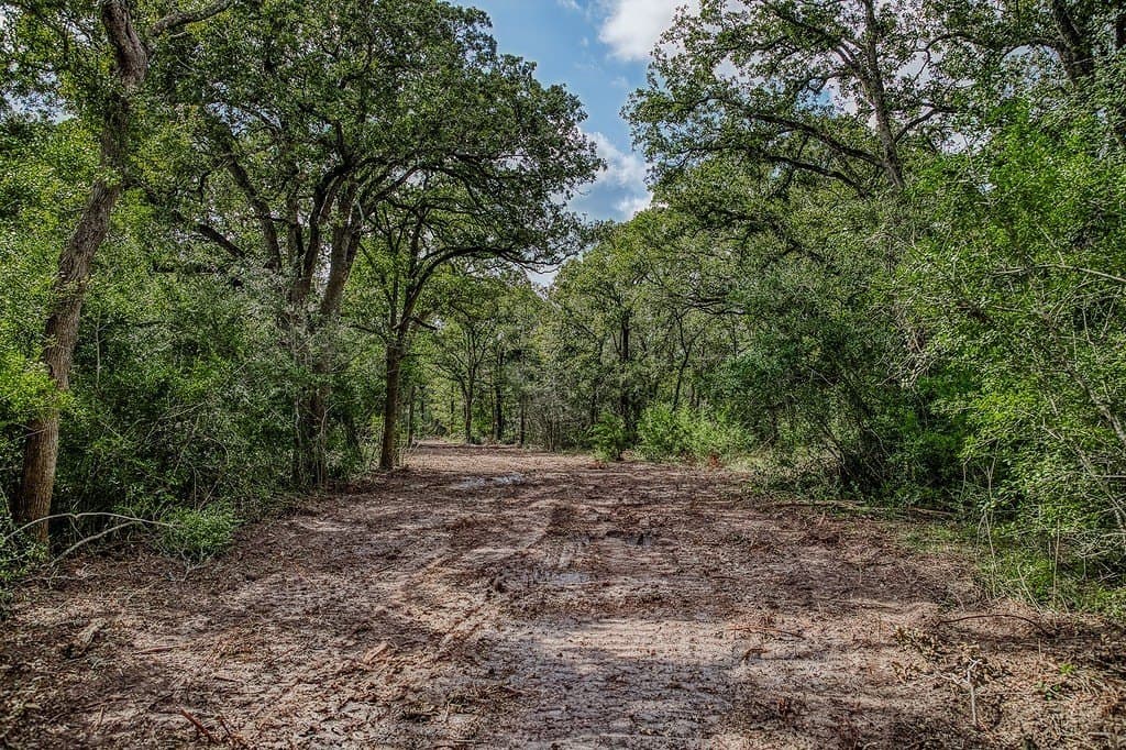 3 acres in Washington County - photo 15