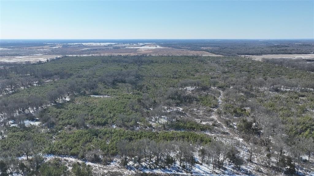 80.65 acres in Red River County - photo 5