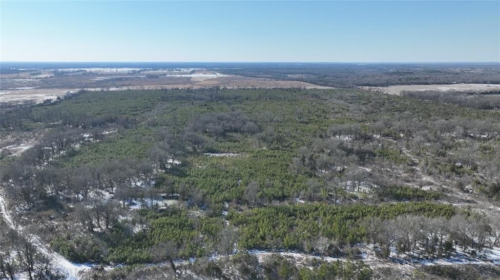80.65 acres in Red River County - photo 6