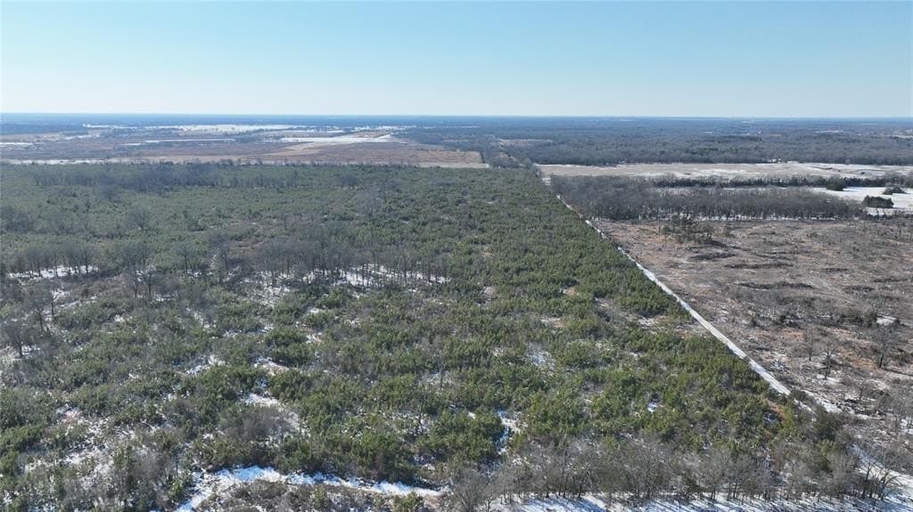 80.65 acres in Red River County - photo 3