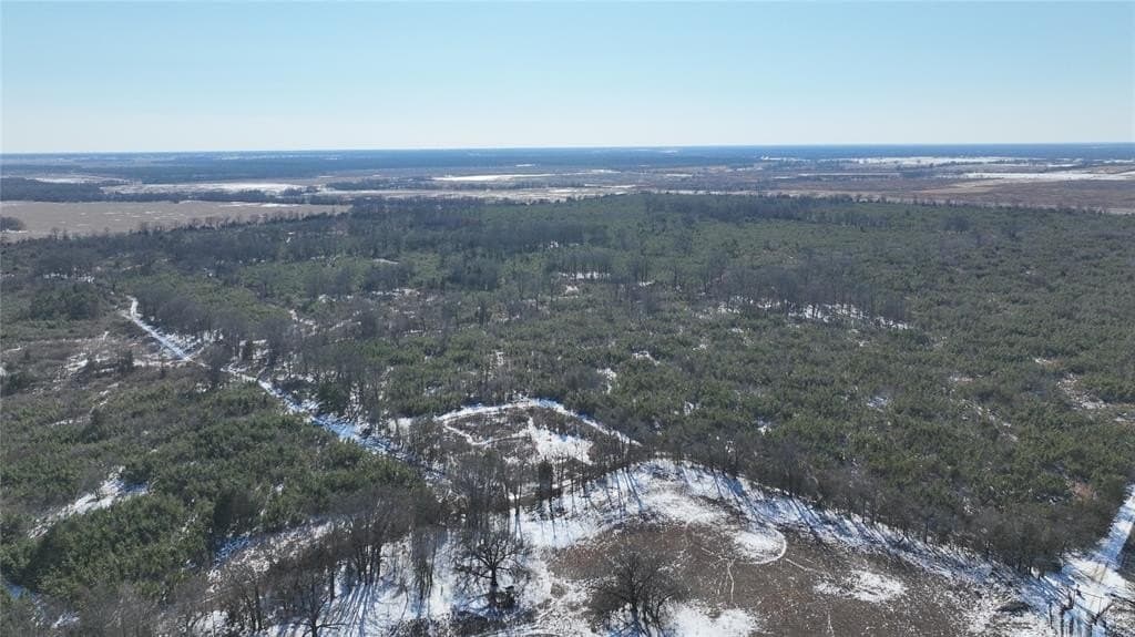 80.65 acres in Red River County - photo 2